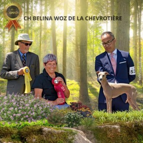 CH Belina Woz de la Chevrotière